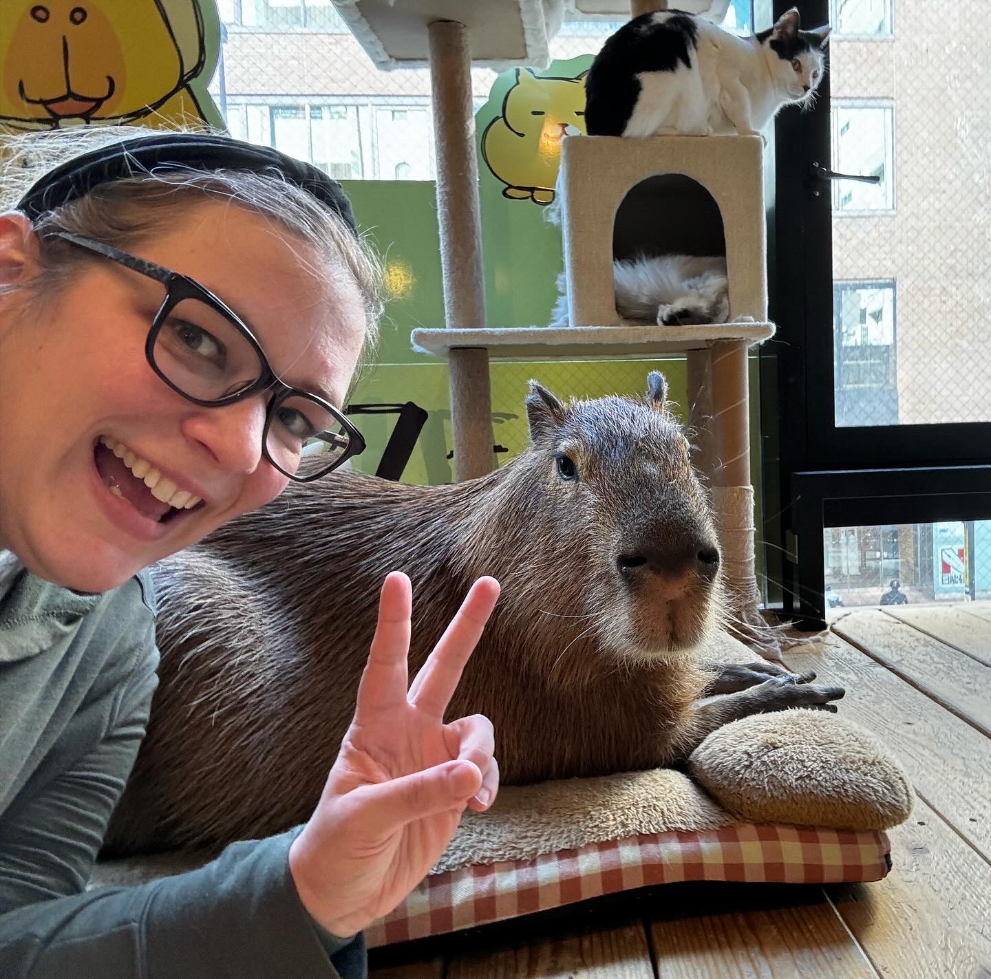 A woman with glasses flashes a peace sign with her fingers in front of a capybara resting on a pillow with cats in the background